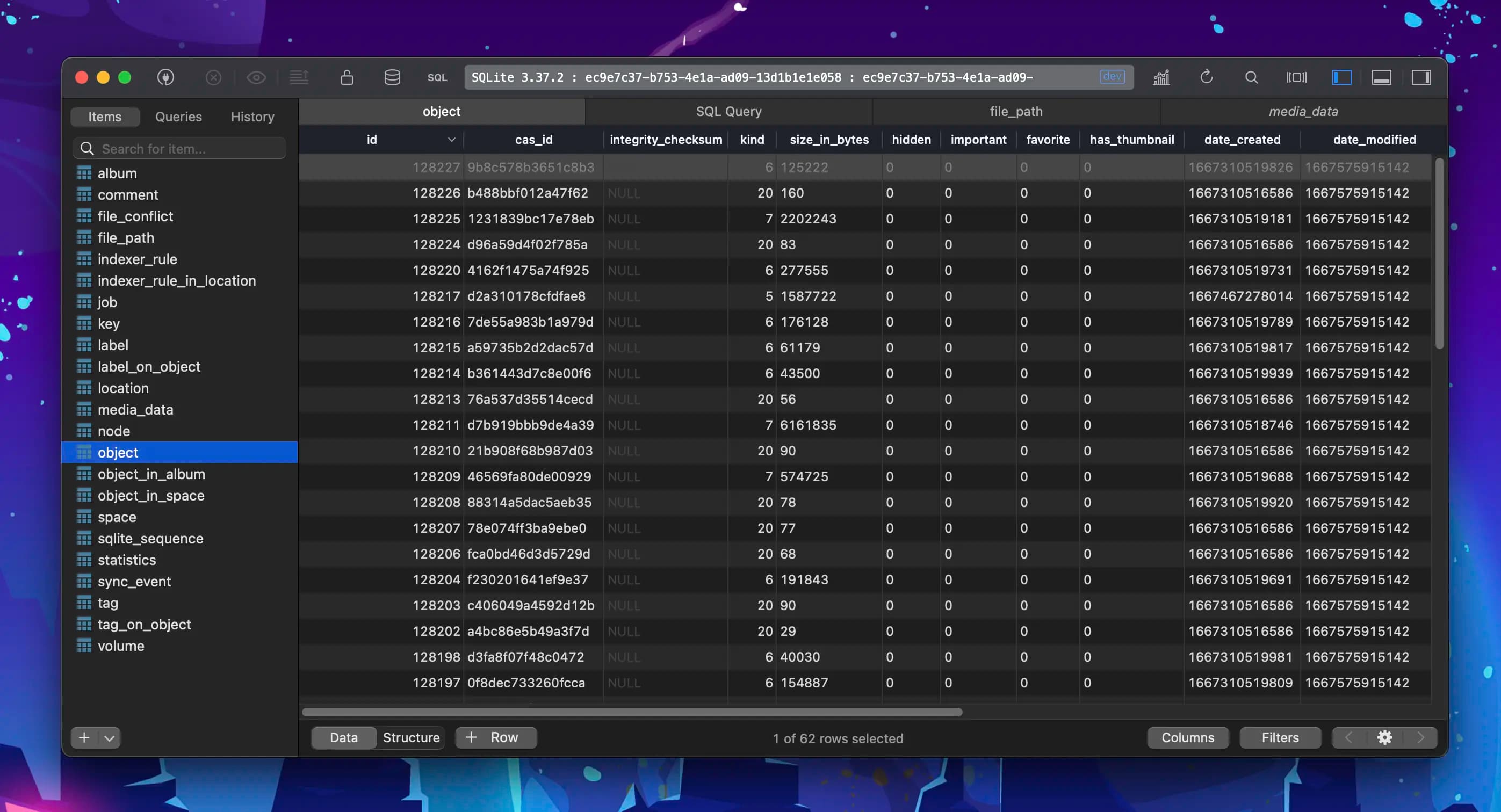 A Spacedrive library database file open in Table Plus